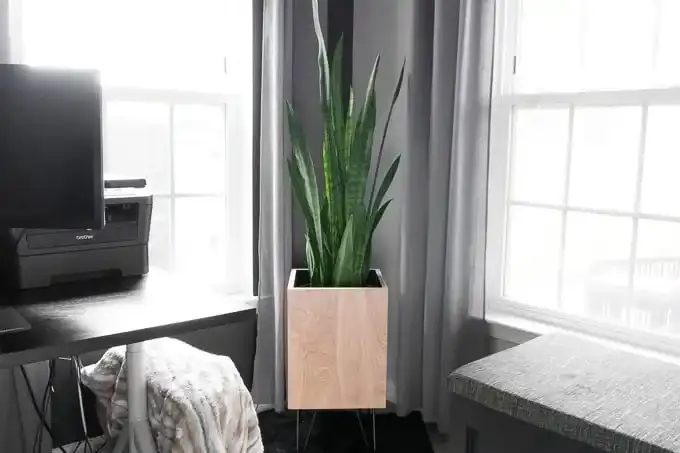 Picture of Modern Plywood Planter